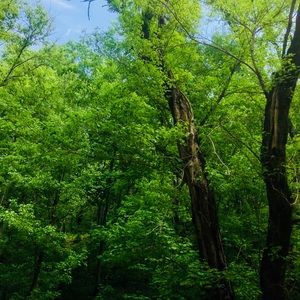 Meet your Posher, Chloe